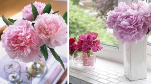 pretty-peonies.jpg